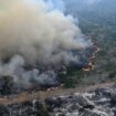 Au Brésil, les incendies en cours en Amazonie battent un record d'émission de carbone