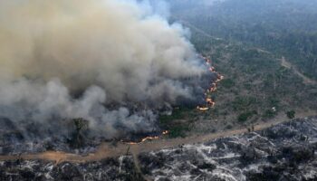 Au Brésil, les incendies en cours en Amazonie battent un record d'émission de carbone