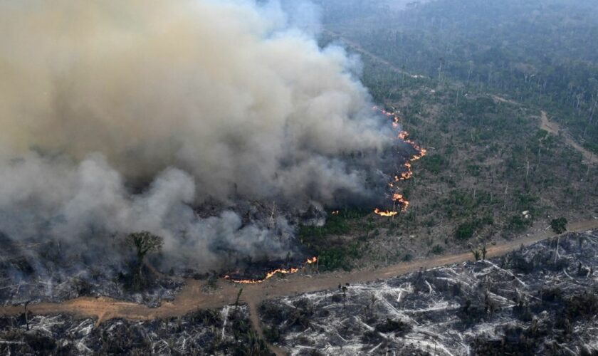 Au Brésil, les incendies en cours en Amazonie battent un record d'émission de carbone