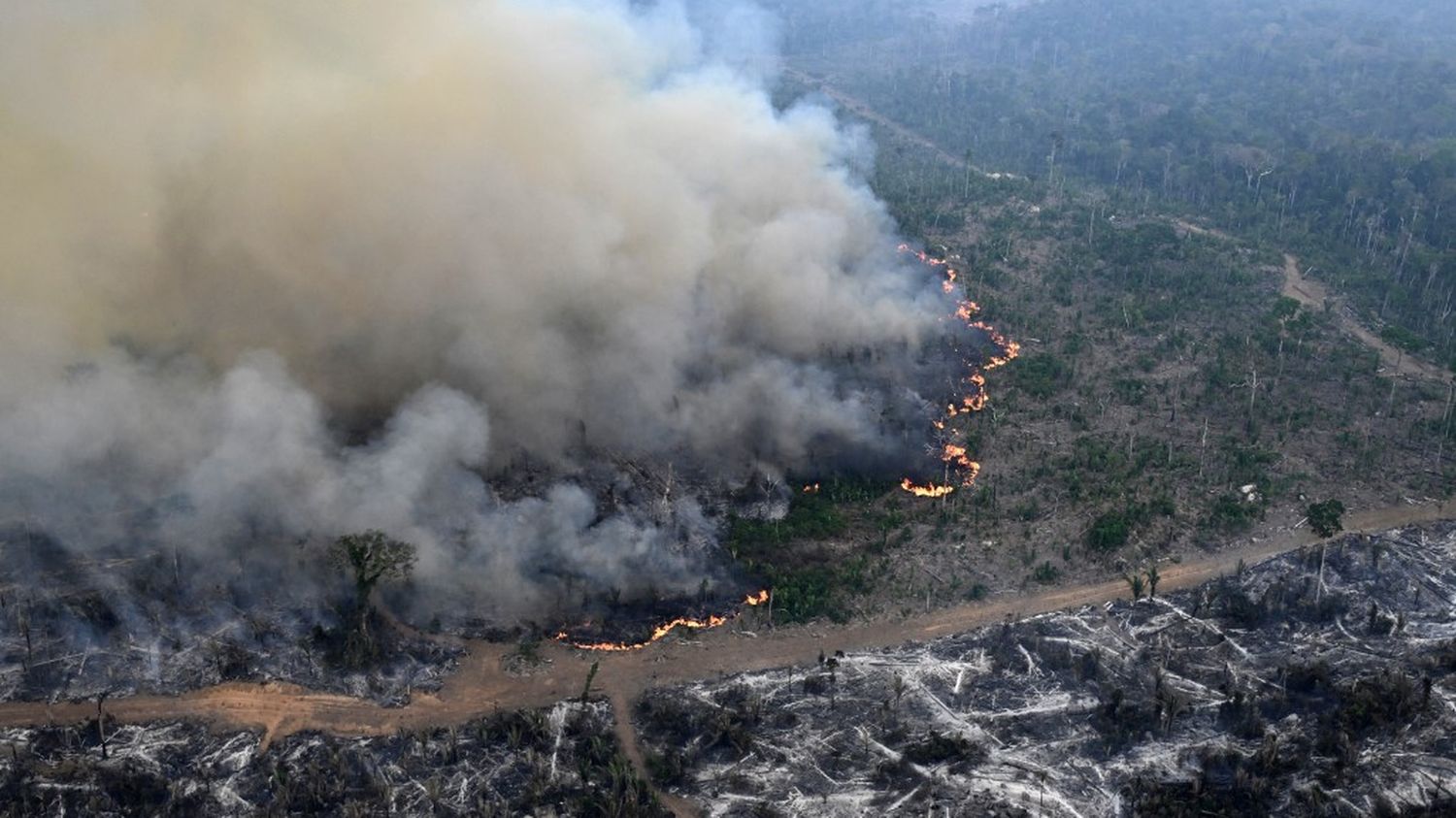 Au Brésil, les incendies en cours en Amazonie battent un record d'émission de carbone