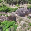 Loire : à la découverte des coins de pêche secrets du dernier grand fleuve sauvage d'Europe