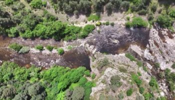 Loire : à la découverte des coins de pêche secrets du dernier grand fleuve sauvage d'Europe