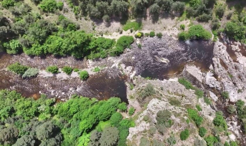 Loire : à la découverte des coins de pêche secrets du dernier grand fleuve sauvage d'Europe