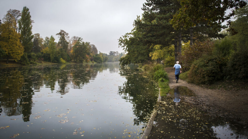 Mort de Philippine, enterrée dans le bois de Boulogne à Paris : ce que l’on sait du profil du suspect