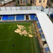 Second AFC Wimbledon game postponed after sinkhole in pitch