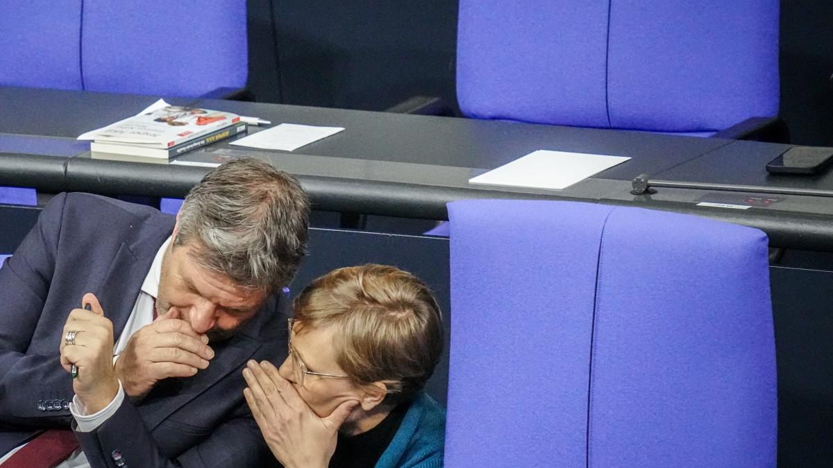 Neustart bei den Grünen – Parteispitze tritt ab