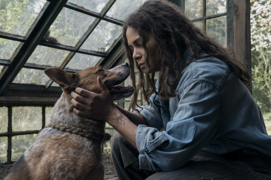 « Mother Land » : Halle Berry à l’affiche d’un thriller horrifique