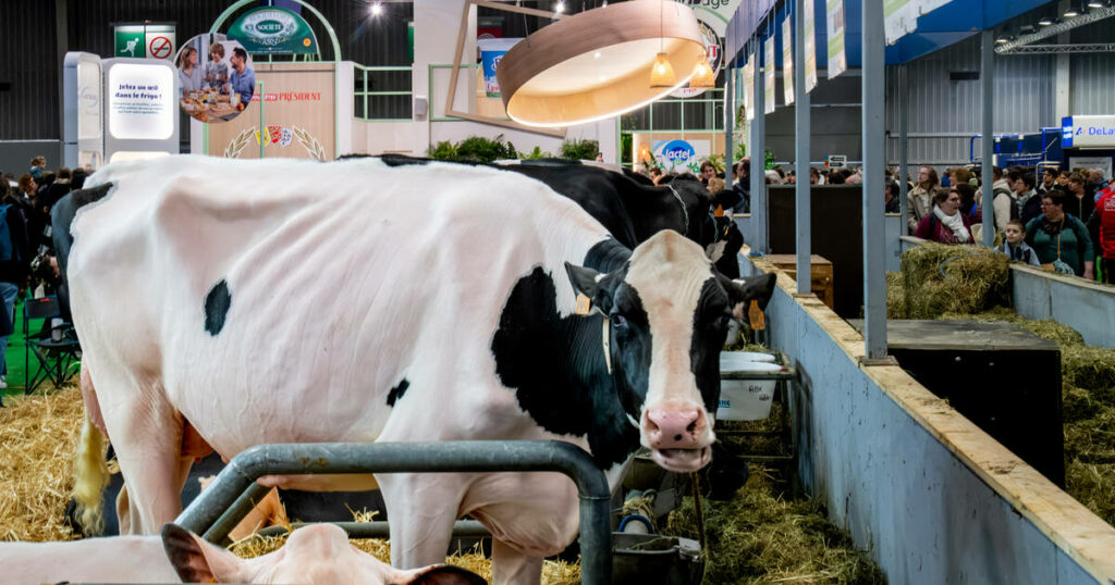 Lactalis va considérablement réduire sa collecte de lait dans les fermes françaises à partir de fin 2024