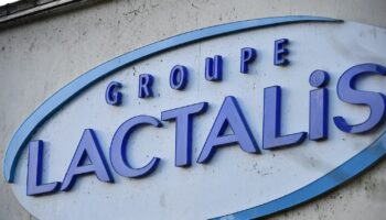 "Déflagration", "complètement incohérent" : les réactions de la filière laitière après l'annonce de la réduction de la collecte de lait en France par Lactalis