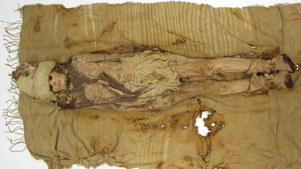 World's oldest cheese found on Chinese mummy