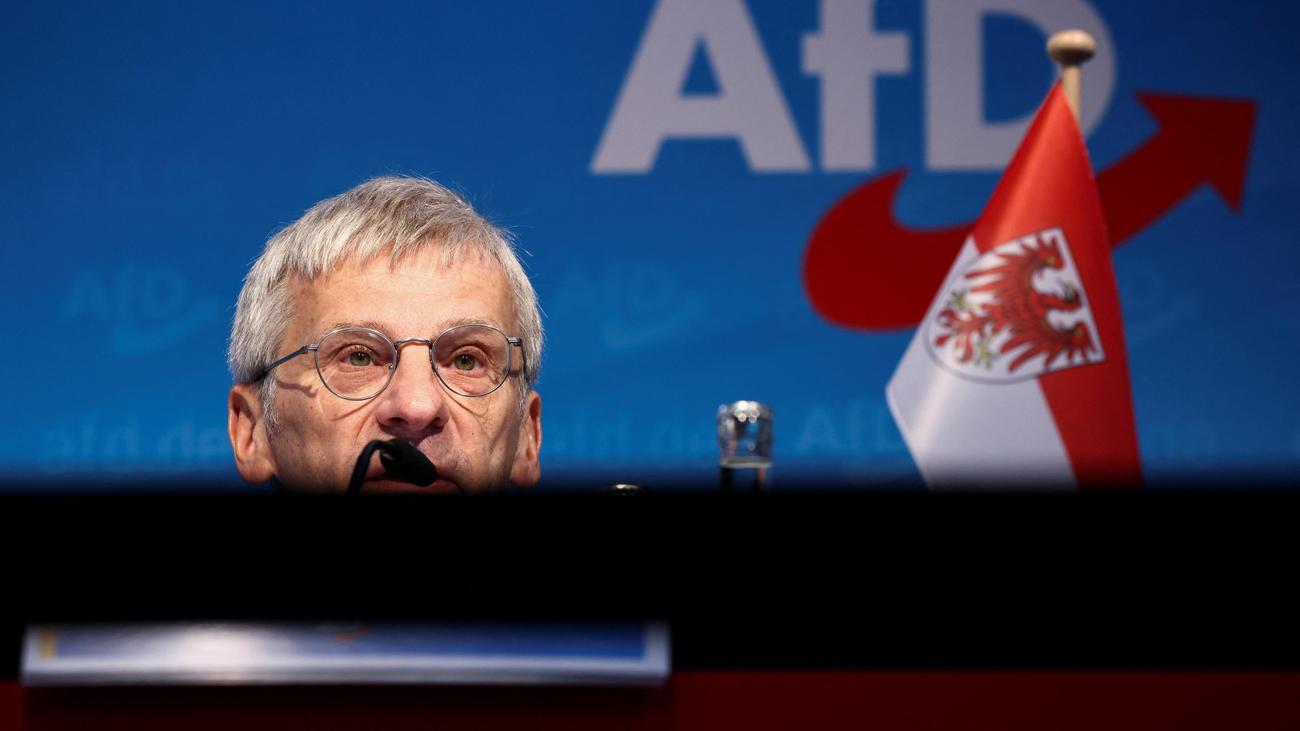 AfD in Brandenburg: Im Osten Volkspartei, im Inneren zerstritten