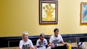 Just Stop Oil target Van Gogh’s Sunflowers hours after activists jailed for throwing soup over same painting