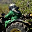 Des centaines de personnes « gênantes pour l’industrie agrochimique » fichées, révèlent des médias