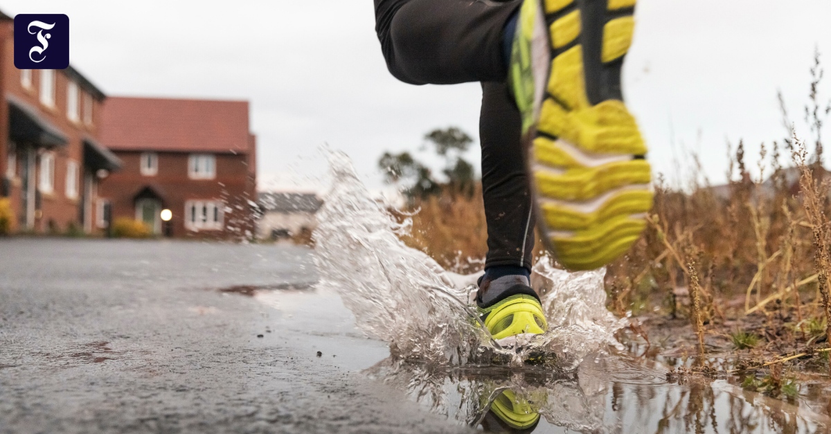 Das Beste lesen mit FAZ+: Sport im Regen und Studieren ohne Geldsorgen