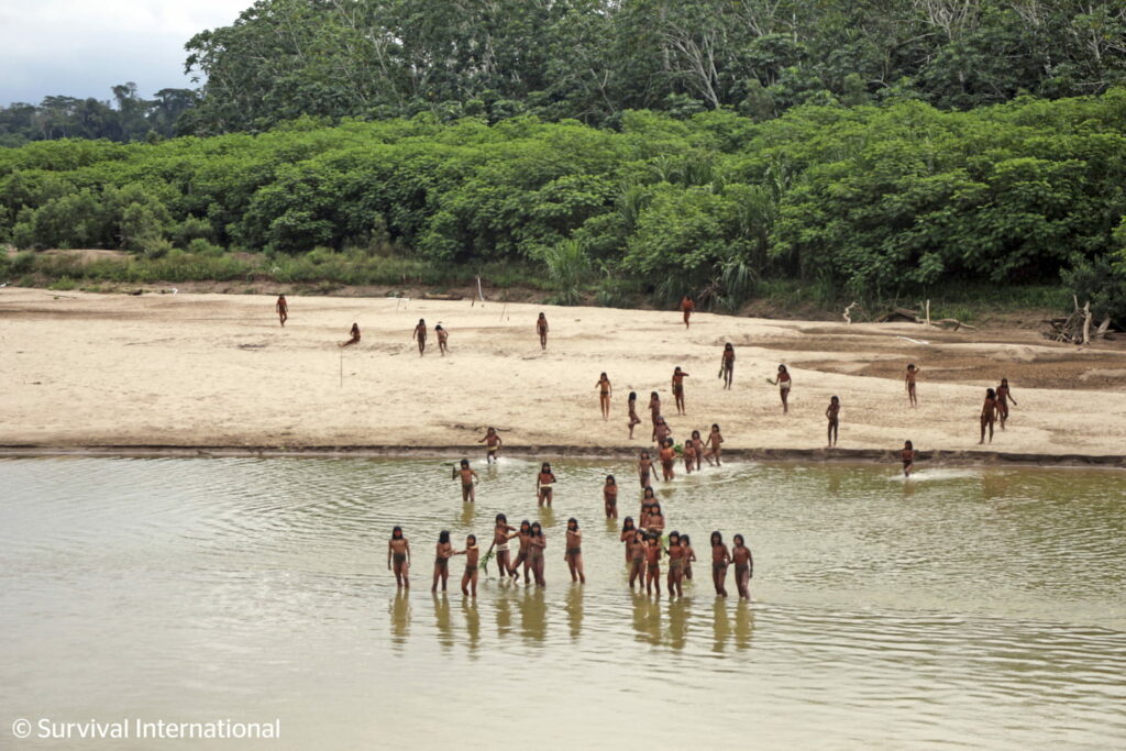 L'une des tribus les plus coupées du monde frôle le désastre, des images très inquiétantes