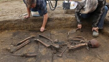 Dozens of ‘exceptionally well-preserved’ Viking skeletons unearthed in Denmark: ‘Truly unusual’