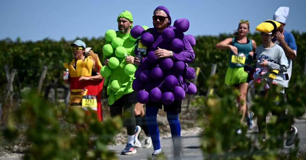 Mon Marathon du Médoc, la course que seuls les Français pouvaient inventer