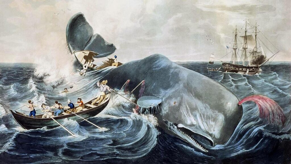 "Moby-Dick" : Ein Wal von einem Buch