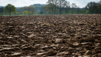 «Il faut savoir quelle agriculture on défend»