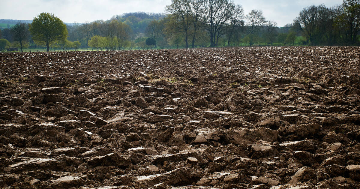 «Il faut savoir quelle agriculture on défend»