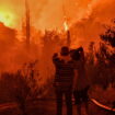 Incendie en Grèce : deux morts dans une forêt près de Corinthe