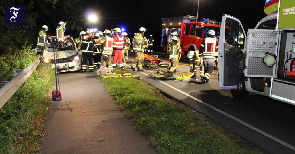 Taxi stößt mit Pferden zusammen: Fahrer und Tiere tot