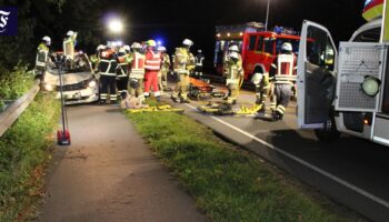 Taxi stößt mit Pferden zusammen: Fahrer und Tiere tot