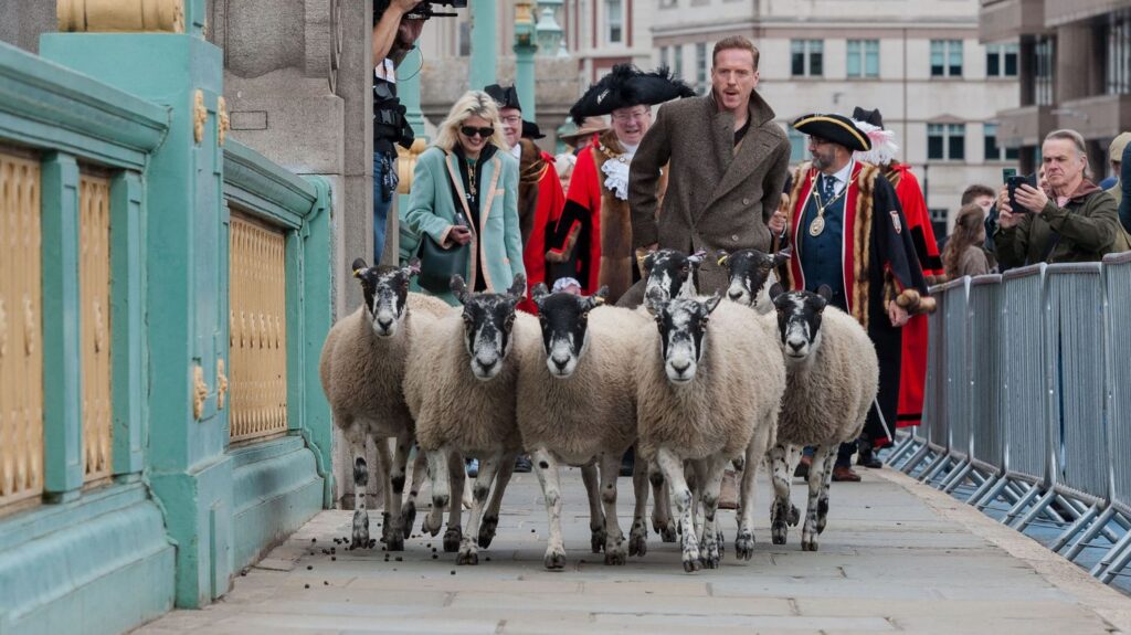 L'acteur Damian Lewis s'improvise berger à Londres pour perpétuer une tradition médiévale britannique