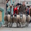 L'acteur Damian Lewis s'improvise berger à Londres pour perpétuer une tradition médiévale britannique