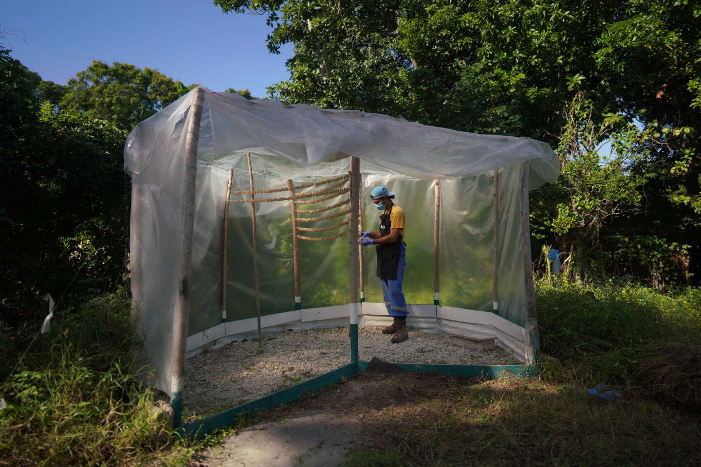 A Cuba, « on recherche de la nourriture tous les jours et maintenant de l’eau »