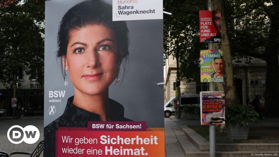 'A one-woman show:' The Sahra Wagenknecht phenomenon