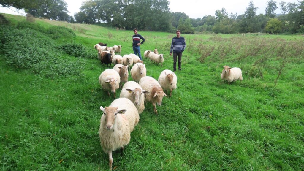 « Agir pour la transition écologique » : en Île-de-France, ces urbains financent des fermes à la campagne