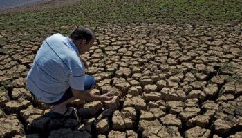 Agriculture : « Favoriser les solutions inspirées de la nature permet d’optimiser la conservation de l’eau dans les paysages »