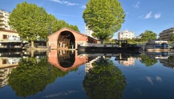 André Manoukian donne un concert sur l’eau à Toulouse pour sauver les platanes du canal du Midi