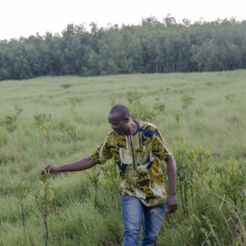 Au Bénin, ONG et divinités vaudoues au chevet des précieuses mangroves