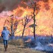 Au Brésil, les incendies touchent désormais le parc national de Brasilia