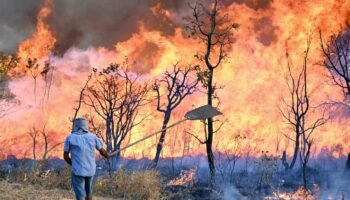 Au Brésil, les incendies touchent désormais le parc national de Brasilia