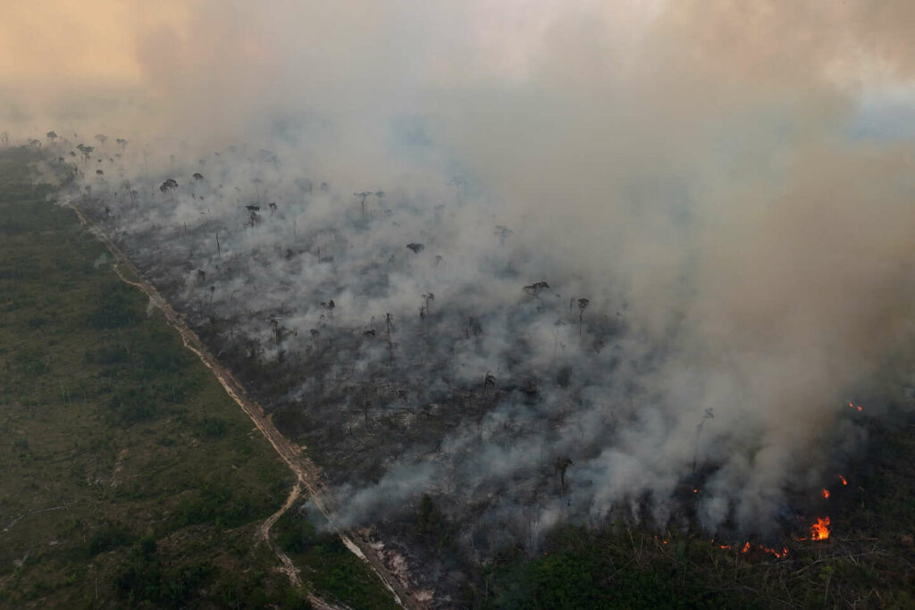 Au Brésil, sécheresse historique et incendies record