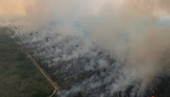 Au Brésil, sécheresse historique et incendies record