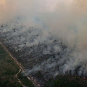 Au Brésil, sécheresse historique et incendies record