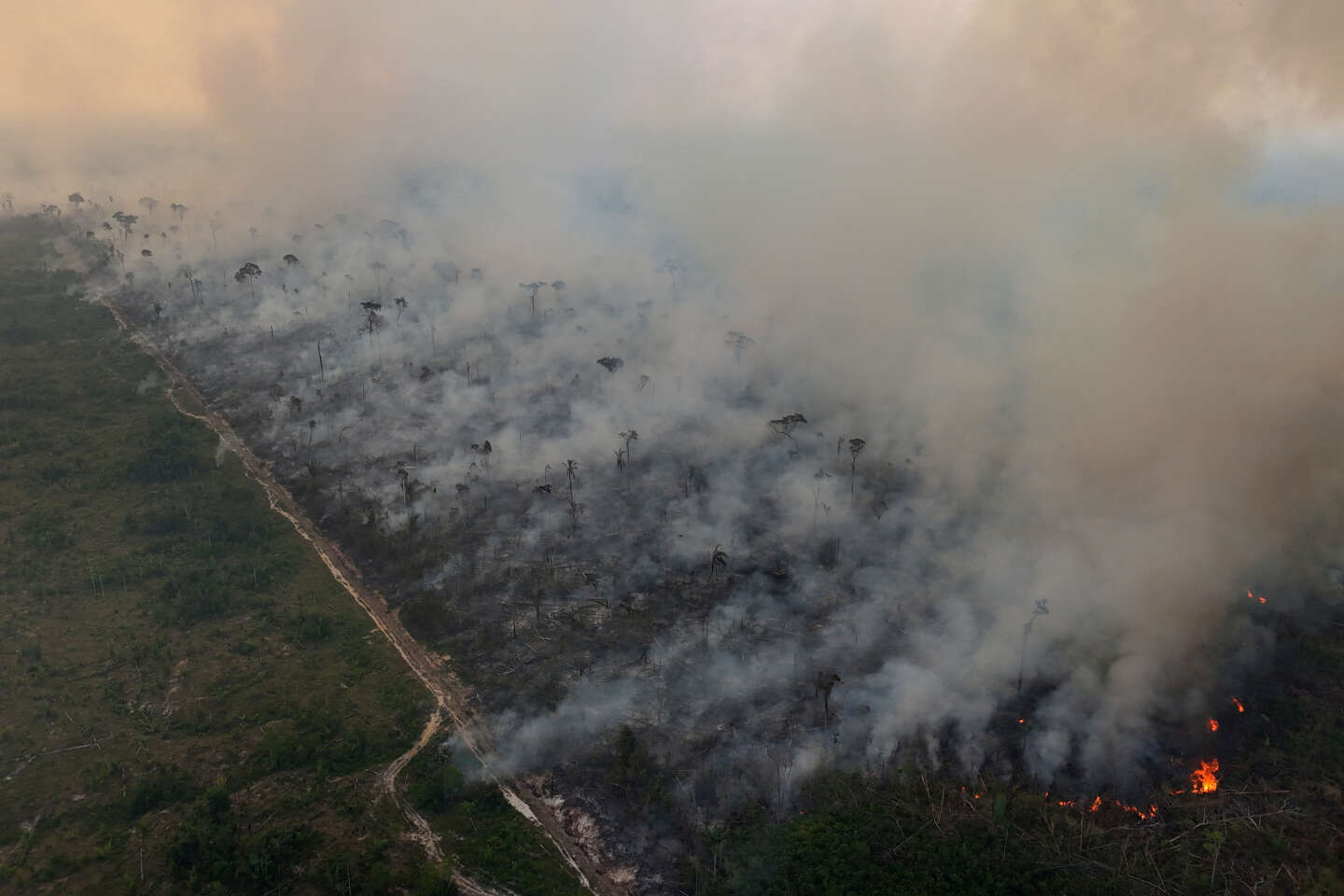 Au Brésil, sécheresse historique et incendies record