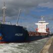 Au port de commerce de Caen, du « cousu main » pour attirer des cargos dans l’ombre de Rouen et Le Havre