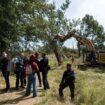 Autoroute A69 : des gendarmes sont intervenus dans le dernier bastion d’opposants, premières coupes d’arbres