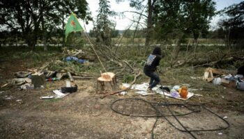 Autoroute A69 : la gendarmerie dans les arbres pour décrocher les derniers « écureuils »