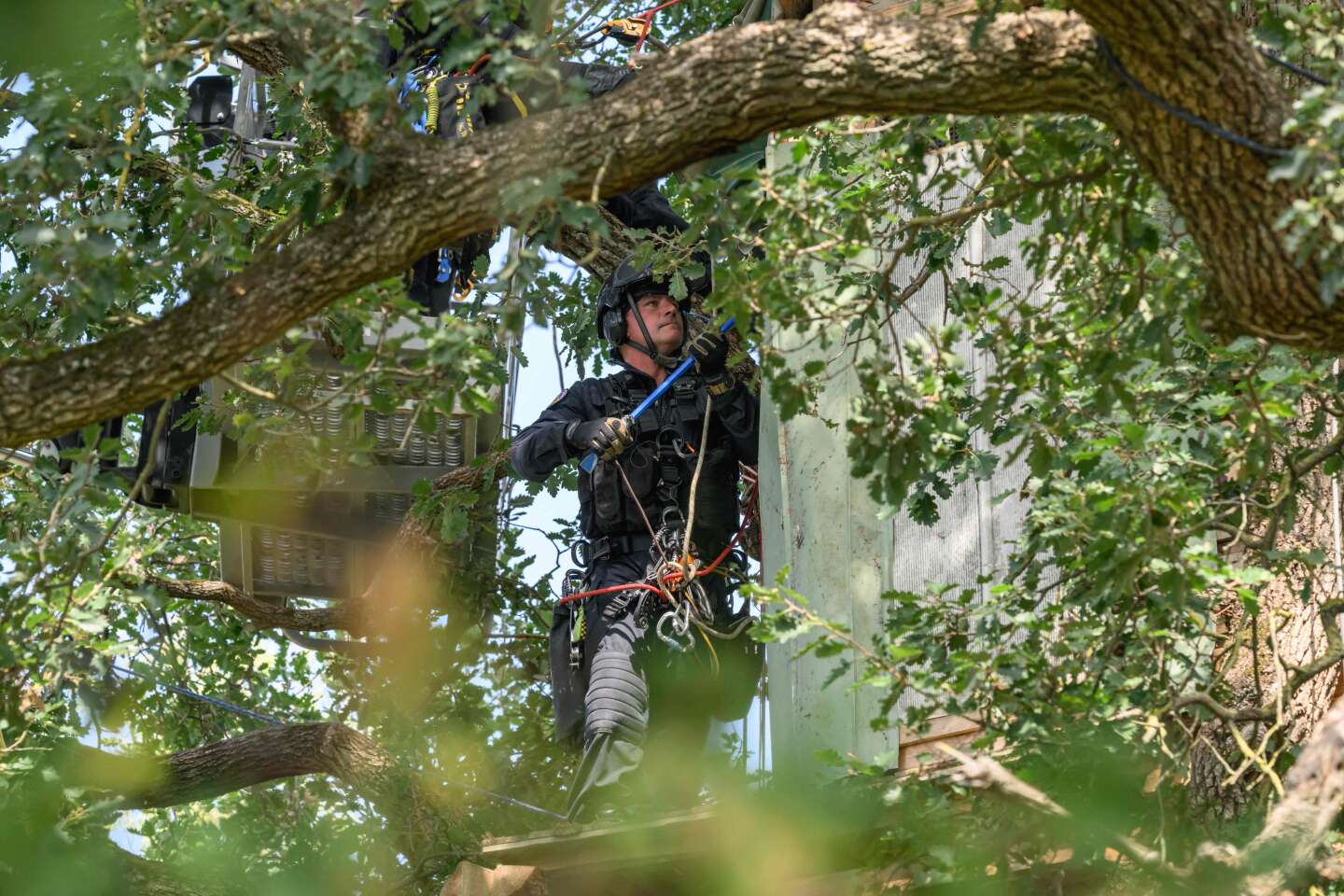 Autoroute A69 : près de 60 arbres abattus, malgré la présence d’opposants