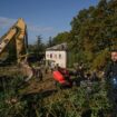 Autoroute A69 : un militant chute d’un arbre et se blesse lors d’une opération de gendarmerie dans la dernière zone d’opposition