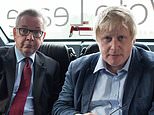 BORIS JOHNSON: To this day I don't know exactly why Gove did me in. What I resented most was the sheer stupidity of it