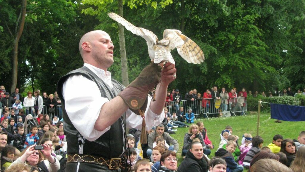 Brie-Comte-Robert renonce définitivement aux spectacles de rapaces à la fête médiévale