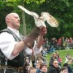 Brie-Comte-Robert renonce définitivement aux spectacles de rapaces à la fête médiévale