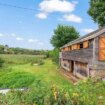 Britain's most expensive bird watching hide has amazing additions